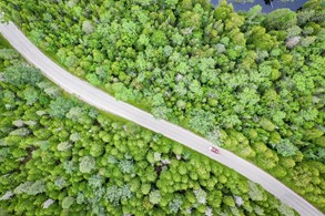 Additional Information