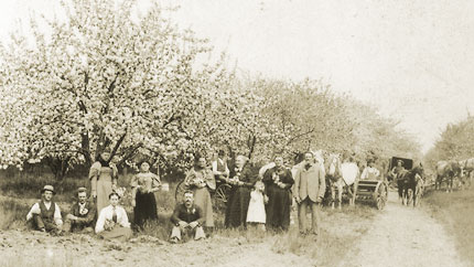 Historic photo of a crowd of people standing under blossoming trees.