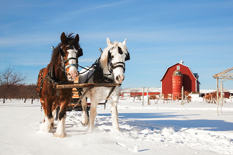 Mayberry's Carriages