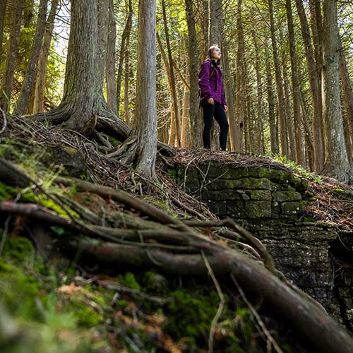 A person stopped on a hike taking in the view