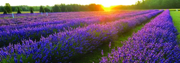 A Guide to Visiting Washington Island