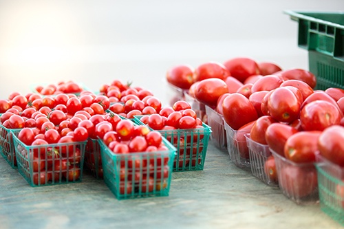 Markets & Specialty Food Stores