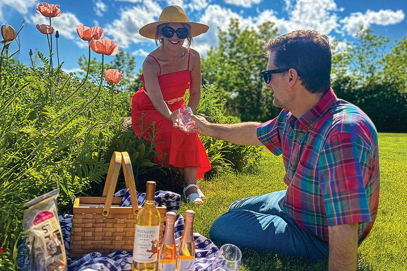 Picnic: The Ginger House