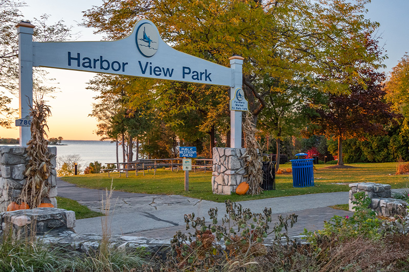 Pumpkin Patch Festival