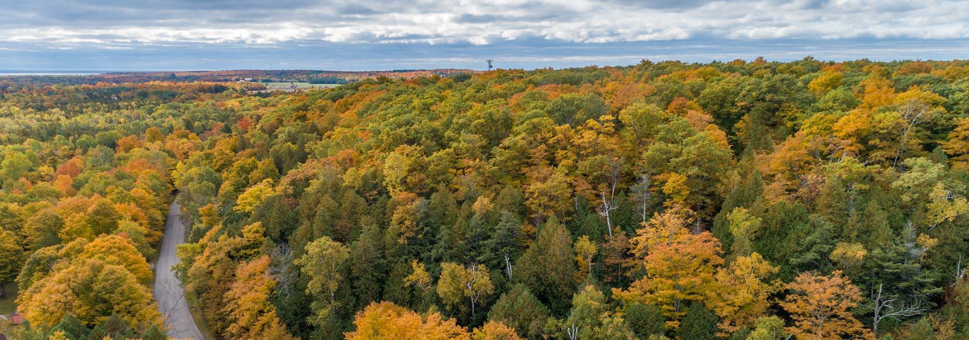 From the Newsletter: Fall Color Aerial Tour